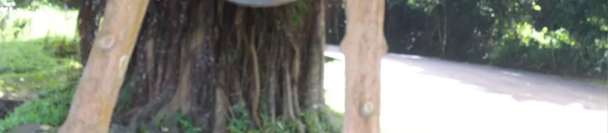 Kilimanjaro Marangu Route 